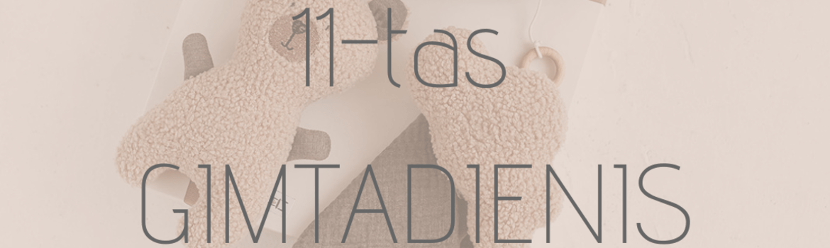 11-tas GIMTADIENIS